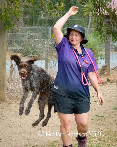 Groomer, Jess, out playing with the dogs